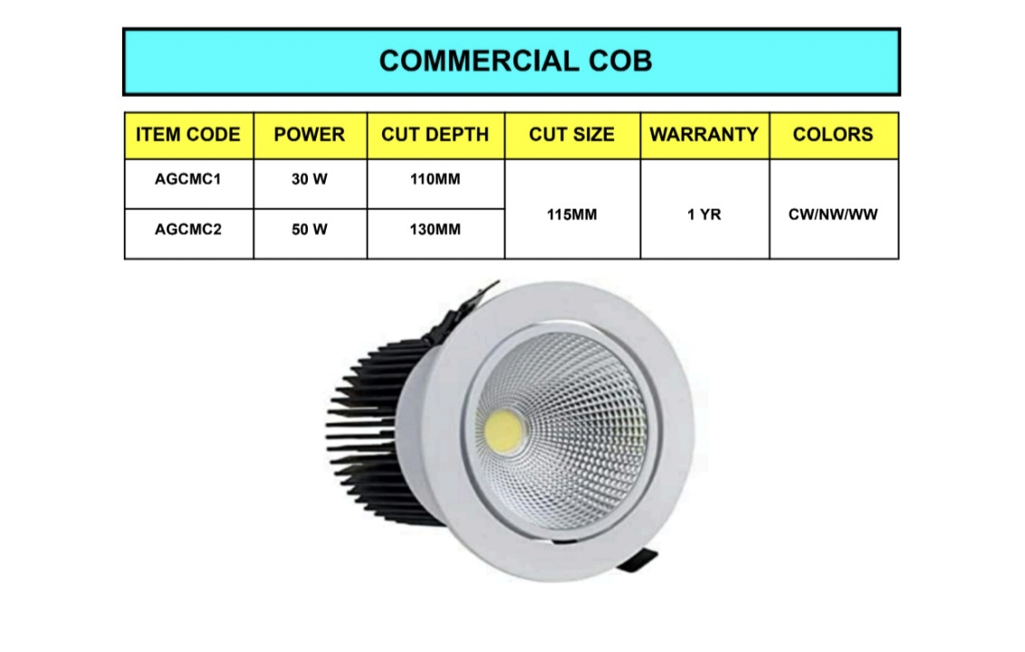 NBS Marine Solutions heavy-duty high-wattage commercial COB LED recessed downlight with deep heat sink