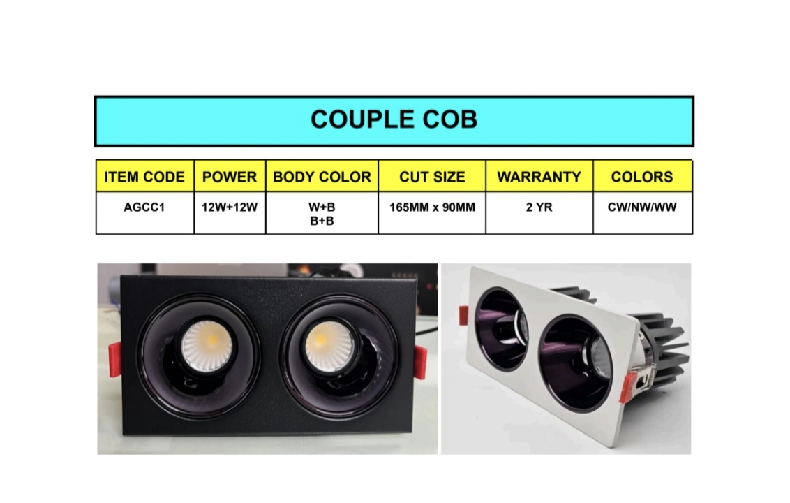 NBS Marine Solutions 12W+12W Couple COB dual recessed LED downlight in black and white frames